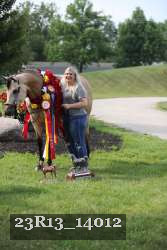 23R13_14012 thumbnail